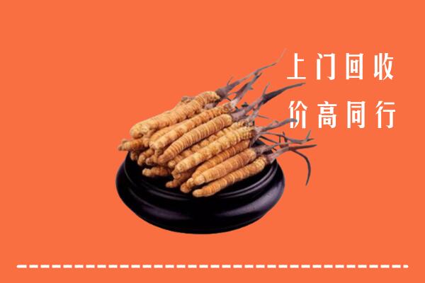 高价求购：鸡西回收散虫草