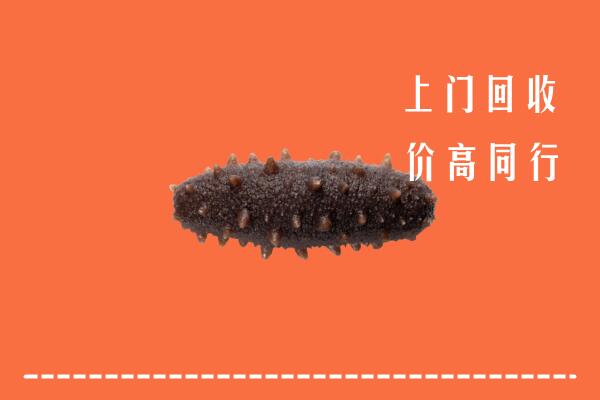 高价求购：鸡西回收海参