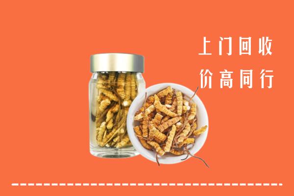 鸡西回收冬虫夏草