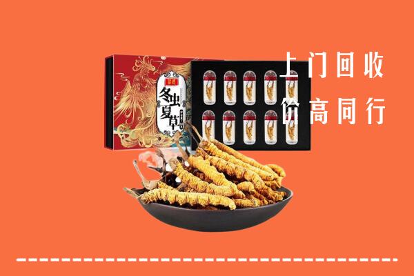 鸡西回收虫草